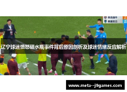 辽宁球迷愤怒砸水瓶事件背后原因剖析及球迷情绪反应解析